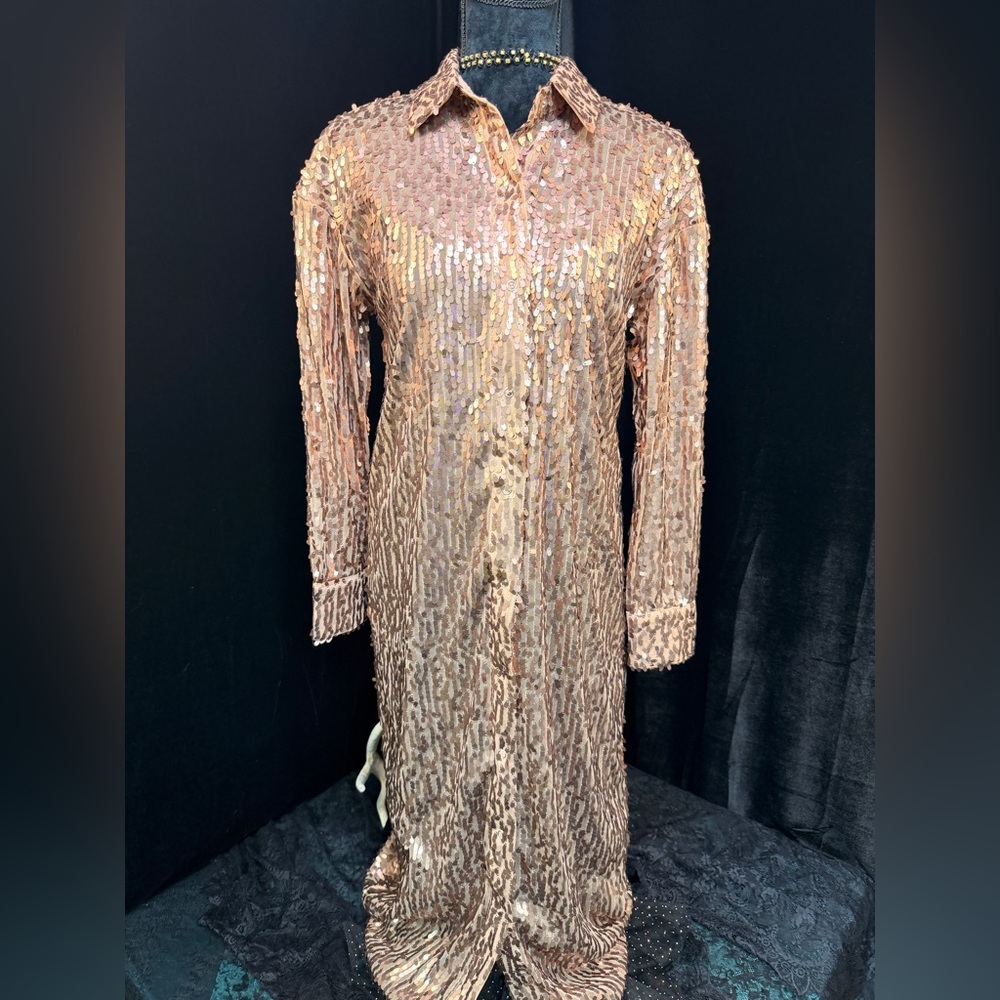 Sequin Long Sleeve Dress - Picture 3 of 8